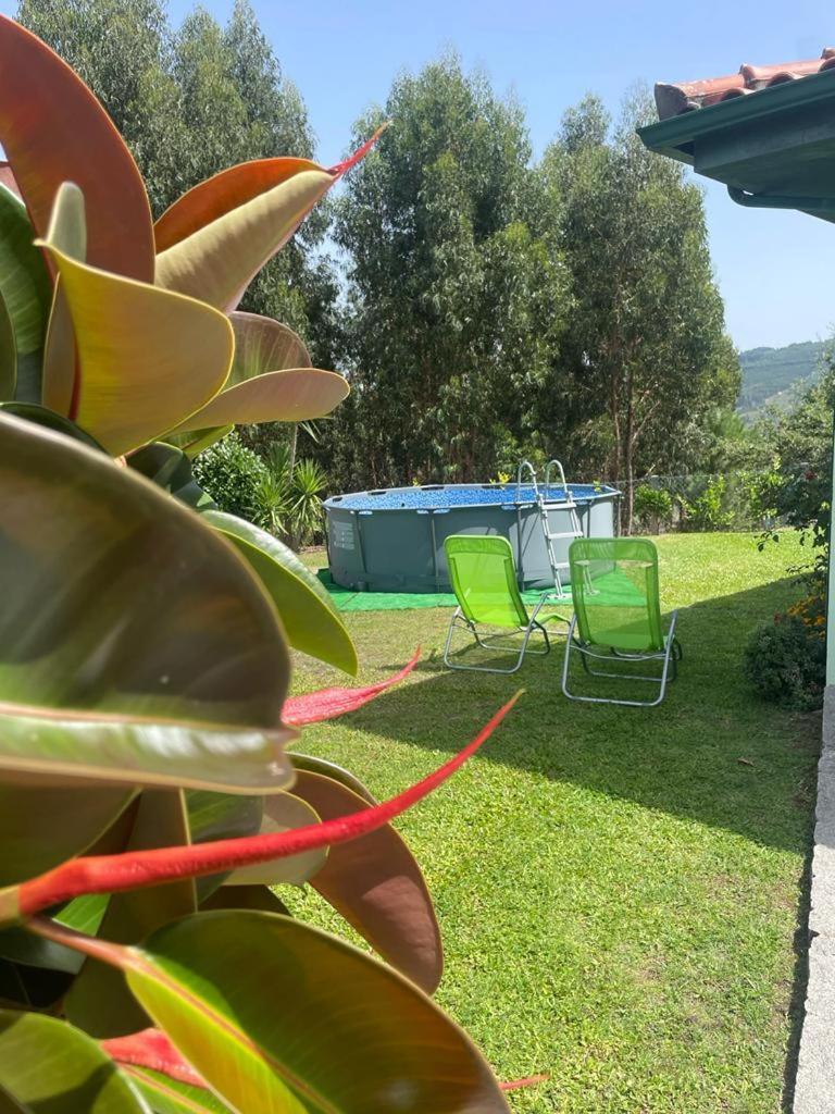 Casa Cataleia Villa Inn Ponte de Lima Luaran gambar